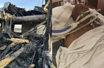 UFC Legend Mark Coleman Hospitalized—but Improving—After Heroic Fire Rescue